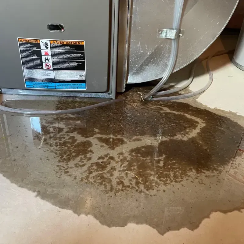 Appliance Leak Cleanup in Barrett, TX